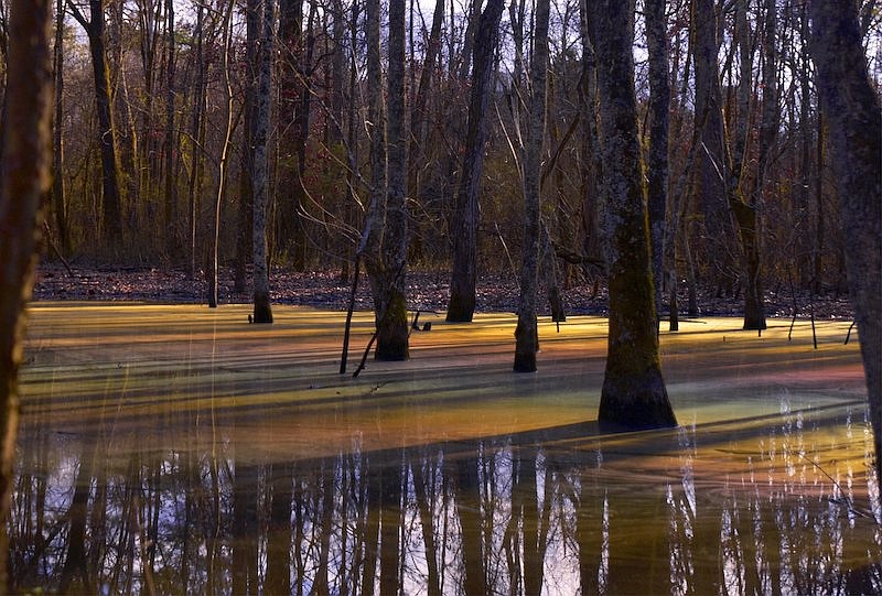 A rare swamp rainbow is seen near Mocassin Bend Golf Course near downtown Chattanooga. / Photo by Kathleen Greeson