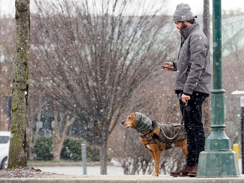 Staff photo by C.B. Schmelter / As snow falls, Andrew Walker checks his phone while waiting with his dog Hughes in Coolidge Park on Tuesday, Feb. 16, 2021 in Chattanooga, Tenn. Walker said he was just going about his morning routine.