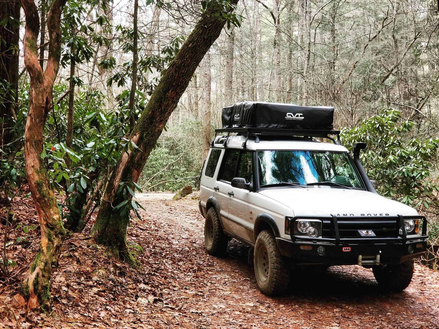 Contributed photo by Eric Hayes / After their stop in Blue Ridge, Ga., the Hayeses spent a slow day climbing across ridges 3,800 feet in elevation near Cooper Creek Recreation Area.