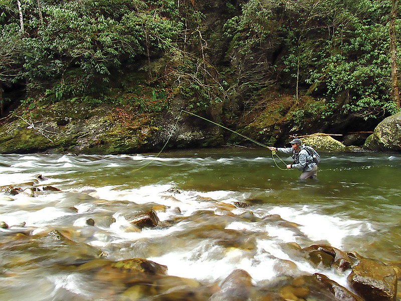 Photo contributed by Nick Carter / Charity Rutter makes a cast into Little River.