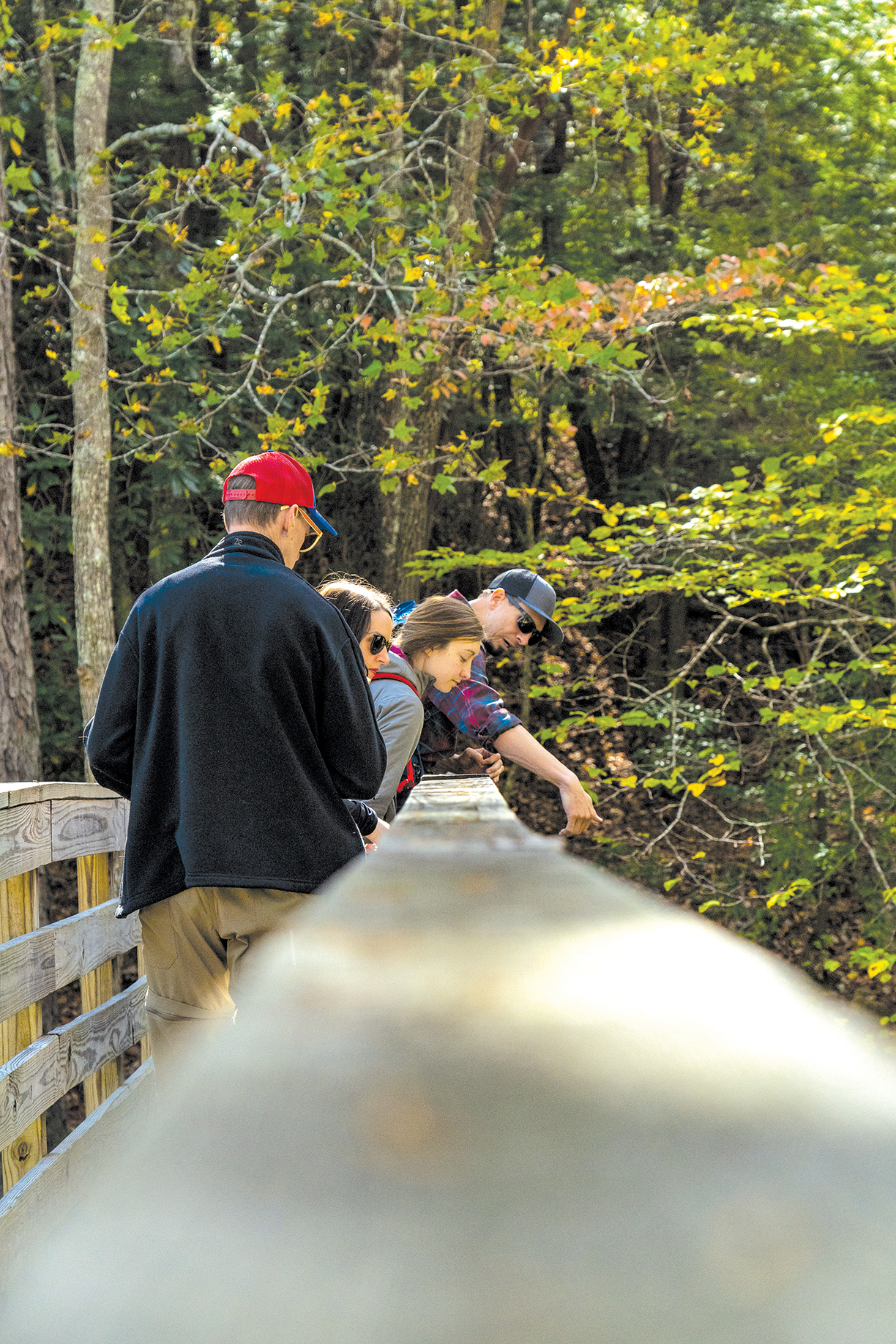 Contributed photo by Talyor Chesney / Learn the history of Lula Lake Land Trust