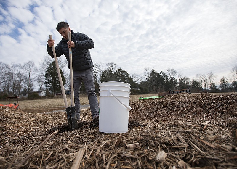 Staff photo by Troy Stolt / Normand Lavoie digs into a compost pile to check the temperature of the composting food waste to show the Times Free Press at NewTerra's composting site on Wednesday, Feb. 17, 2021 in Wildwood, Georgia.