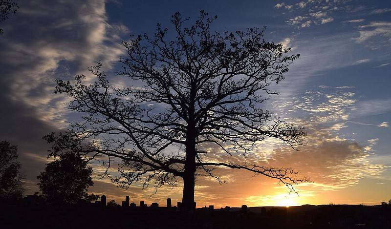 Staff File Photo By Robin Rudd / The sun sets beyond a large white oak tree rooted among the grave markers in Hixson Cemetery in Bledsoe County, Tennessee, which state vaccine numbers indicate only has 5.16% of its population with a complete set of two vaccines.