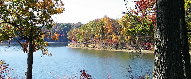 Paris Landing State Park / Photo courtesy Paris Landing State Park via tn.gov