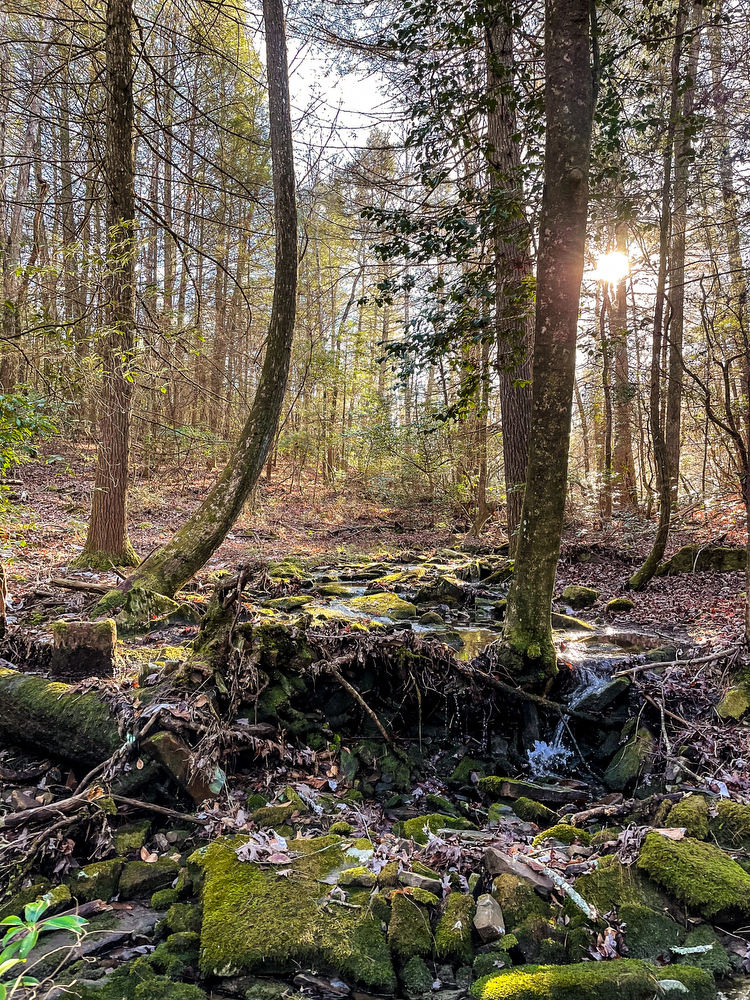 Contributed photo / This photo shows one of the many scenic spots on Soak Creek Farm, a 2,000-acre tract in Bledsoe and Rhea counties that was donated to TennGreen Land Conservancy by philanthropist George Lindemann.