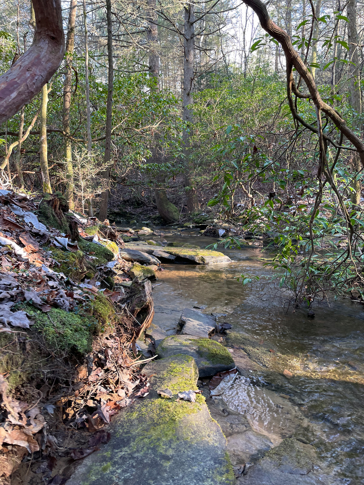 Contributed photo / This photo shows one of the many scenic spots on Soak Creek Farm, a 2,000-acre tract in Bledsoe and Rhea counties that was donated to TennGreen Land Conservancy by philanthropist George Lindemann.