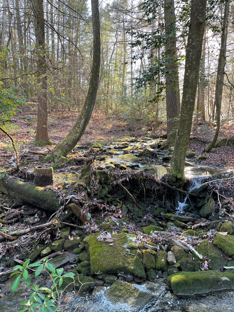 Contributed photo / This photo shows one of the many scenic spots on Soak Creek Farm, a 2,000-acre tract in Bledsoe and Rhea counties that was donated to TennGreen Land Conservancy by philanthropist George Lindemann.
