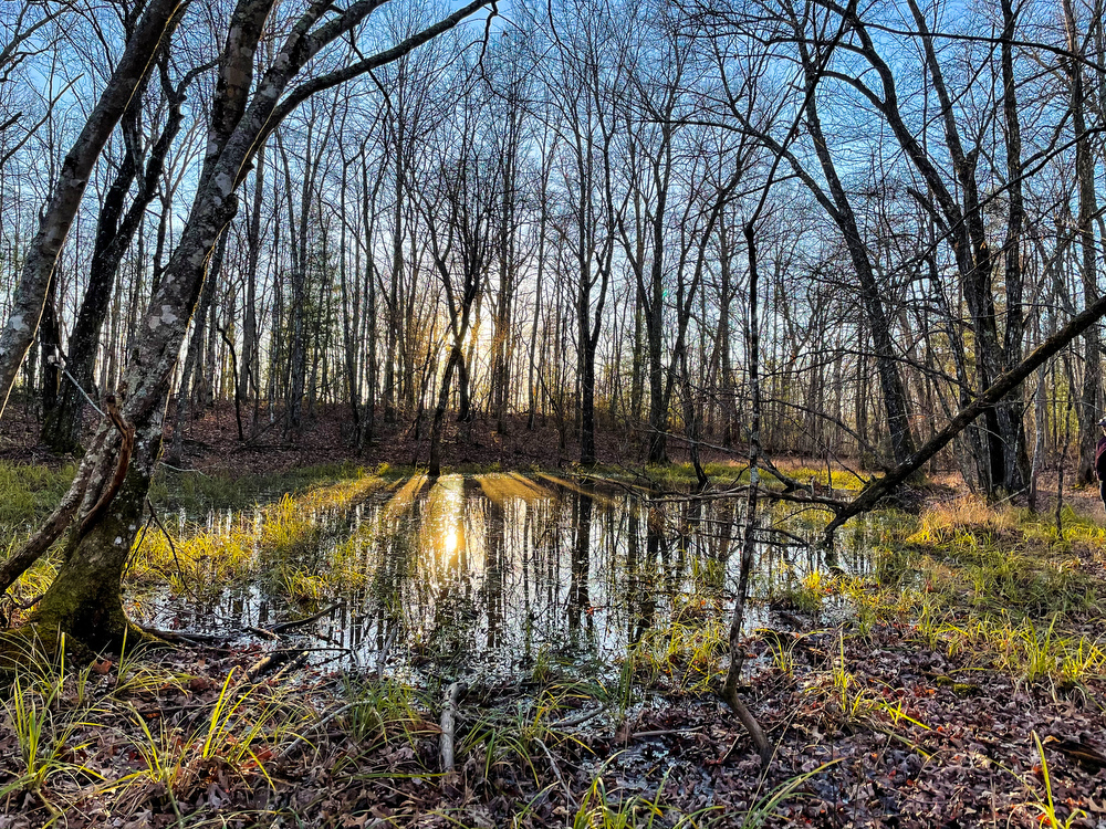 Contributed photo / This photo shows one of the many scenic spots on Soak Creek Farm, a 2,000-acre tract in Bledsoe and Rhea counties that was donated to TennGreen Land Conservancy by philanthropist George Lindemann.