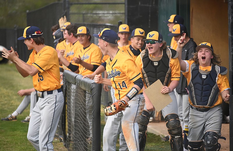 Staff Photo by Matt Hamilton / The Walker Valley dugout explodes with cheers after the second homer of the game at East Hamilton High School in Ooltewah on Monday, March 22, 2021. 