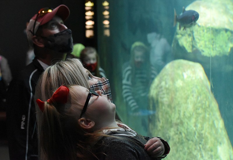 Staff Photo by Matt Hamilton / Tullahoma residents Paisley Woodcock, 4, Donna Jones and Lee Martin look at the fish at the Tennessee Aquarium on Thursday, April 1, 2021.