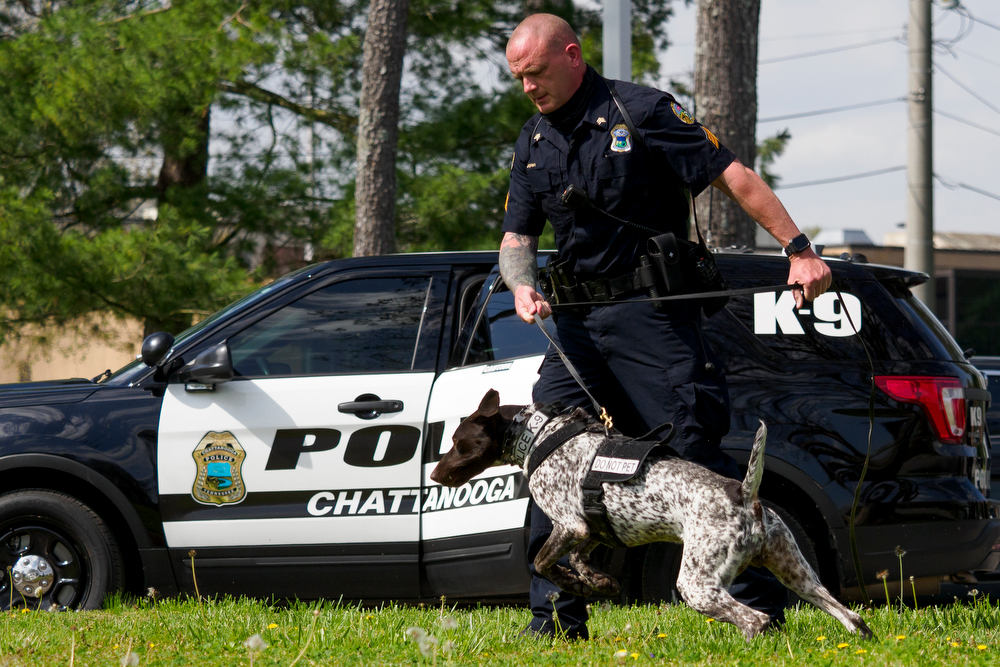 Staff photo by C.B. Schmelter / Chattanooga Police Department Sgt. Sean O'Brien runs a demonstration search for a firearm with K9 Gunther during a press conference at the Tennessee Riverpark on Wednesday, April 7, 2021 in Chattanooga, Tenn.