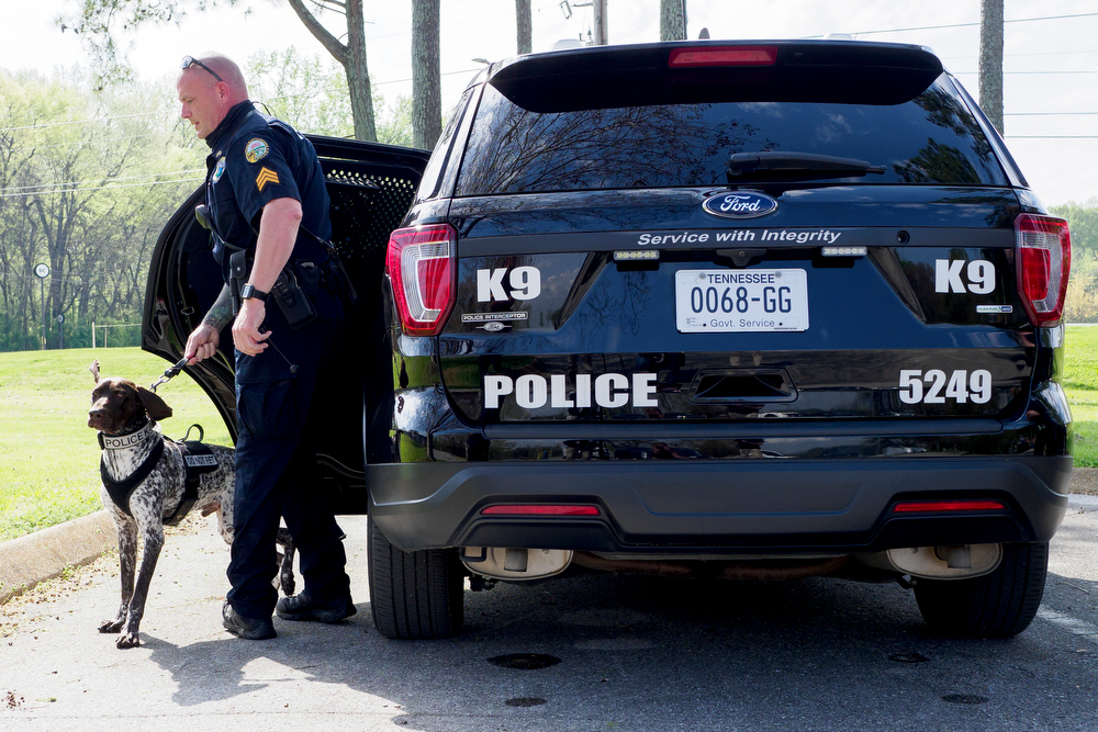 Staff photo by C.B. Schmelter / Chattanooga Police Department Sgt. Sean O'Brien unloads K9 Gunther from his vehicle before a press conference at the Tennessee Riverpark on Wednesday, April 7, 2021 in Chattanooga, Tenn.