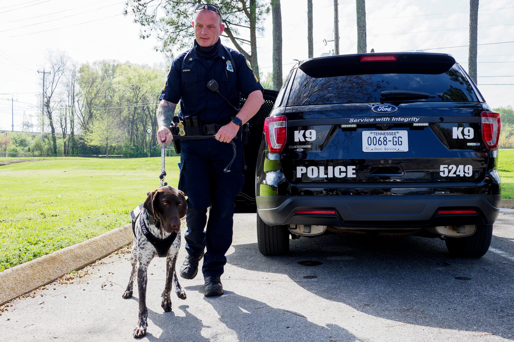 Staff photo by C.B. Schmelter / Chattanooga Police Department Sgt. Sean O'Brien unloads K9 Gunther from his vehicle before a press conference at the Tennessee Riverpark on Wednesday, April 7, 2021 in Chattanooga, Tenn.