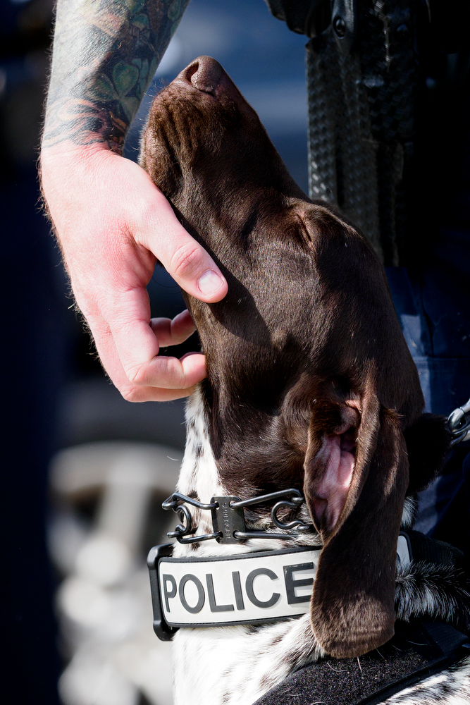 Staff photo by C.B. Schmelter / Chattanooga Police Department Sgt. Sean O'Brien pets K9 Gunther before a press conference at the Tennessee Riverpark on Wednesday, April 7, 2021 in Chattanooga, Tenn.