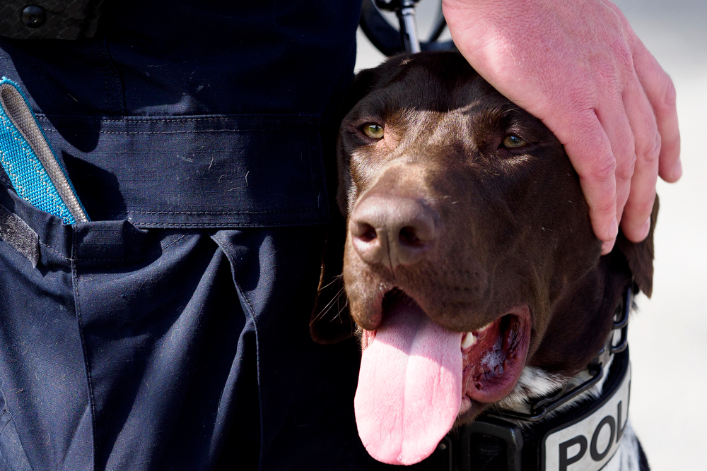 Staff photo by C.B. Schmelter / Chattanooga Police Department Sgt. Sean O'Brien pets K9 Gunther as he speaks during a press conference at the Tennessee Riverpark on Wednesday, April 7, 2021 in Chattanooga, Tenn.