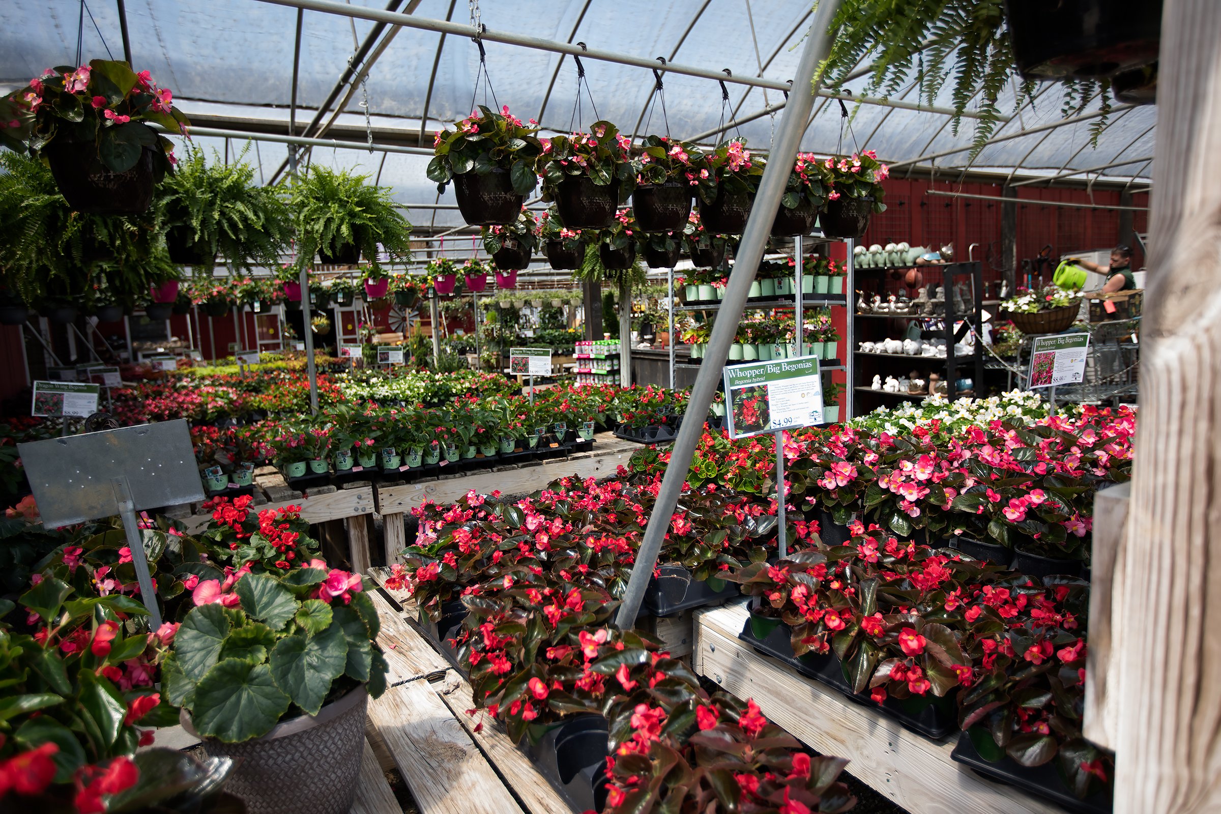 Staff photo by Troy Stolt / Like other local garden centers, The Barn Nursery has managed to stock shelves this spring despite a nationwide plant shortage that may make some varieties harder for customers to find.