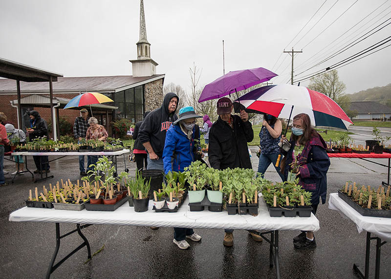Staff photo by Troy Stolt / Shoppers browse an assortment of plants.