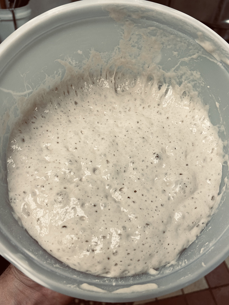 Contributed photo / Dane Frazier's sourdough starter, named Samantha.