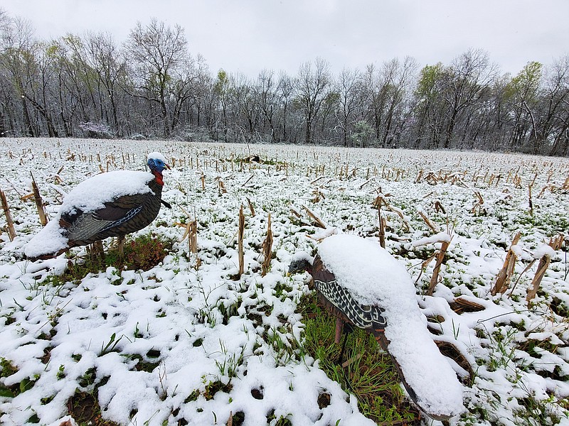 Photo contributed by Larry Case / A recent spring turkey hunt in Missouri for outdoors columnist Larry Case and CZ-USA shooting pro Dave Miller brought two very different days of weather, two gobbler kills and two trips to Johnny's Tavern.