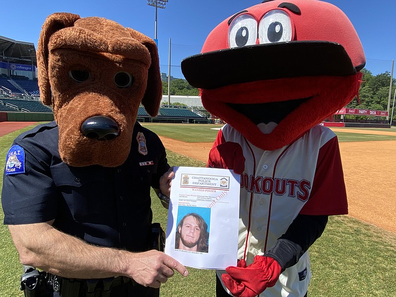 In a meeting of the mascots, McGruff the Crime Dog and Looie the Lookout pose with a wanted poster issued by the Chattanooga Police Department after police identified Alex Clark Thompson as a suspect in the March 30 theft of the Lookouts' mascot. / Photo courtesy Chattanooga Police Department