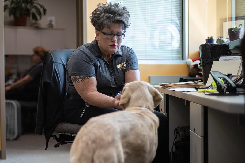 Staff photo by Troy Stolt / Lynn Miracle pets Bonnie, the new Catoosa County Sheriff office therapy dog, inside the Catoosa County Sheriff's office on Wednesday, May 26, 2021, in Ringgold, Georgia.