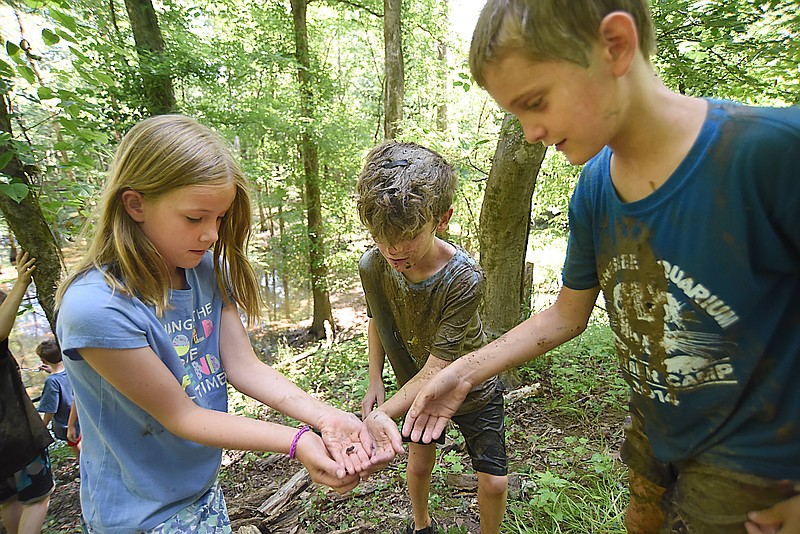 Staff Photo by Matt Hamilton / From left, Annabelle Fagan, 10, Miles Pillsbury, 10, and Miles Keyser, 11, look at a juvenile frog they found during a nature walk through a wetland area at Reflection Riding Arboretum and Nature Center on Friday, June 18, 2021.