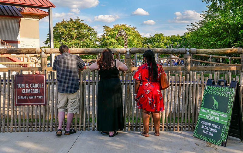Photo by Mark Gilliland / Attendees visit the giraffe yard.