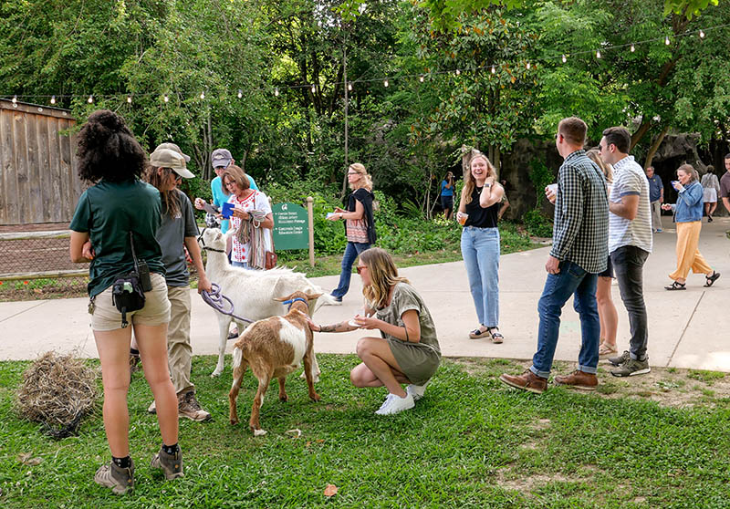 Photo by Mark Gilliland / Attendees stop for a second to pet the goats.