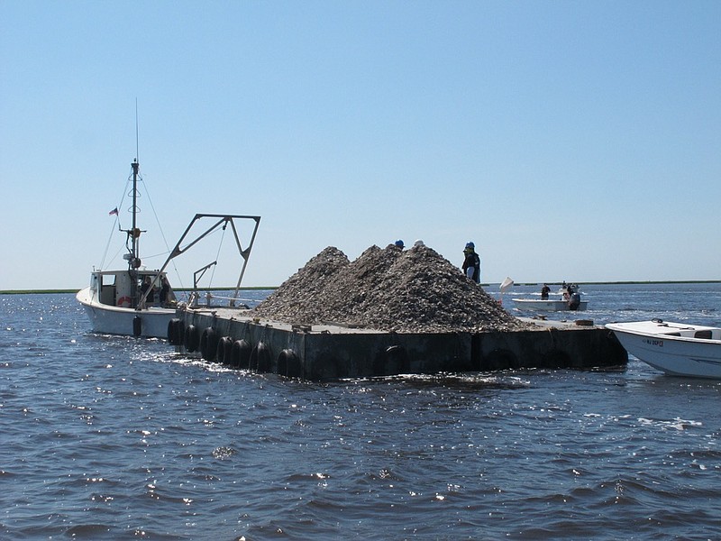 This June 29, 2021 photo shows a barge laden with 680 bushels of clam and oyster shells that are about to be dumped into the Mullica River in Port Republic, N.J. (AP Photo/Wayne Parry)


