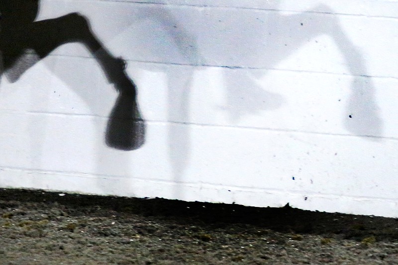 Staff photo by Erin O. Smith / A Tennessee walking horse and its rider cast a shadow on the walls around the competition arena during the Tennessee Walking Horse Celebration in 2019 in Shelbyville, Tennessee.