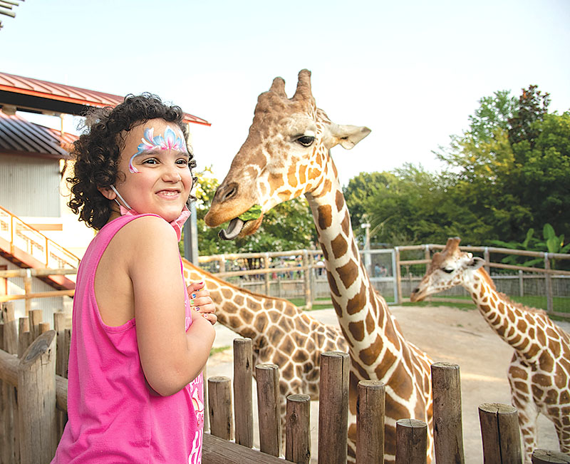 Photo by Mark Gilliland / Six-year-old Lili Hope Walund feeds the giraffes.