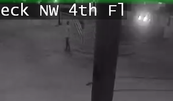 This photo from surveillance video provided by the City of Dalton, Georgia, shows a suspect believed to be involved in the vandalism of a flag memorial on Sept. 11, 2021. 