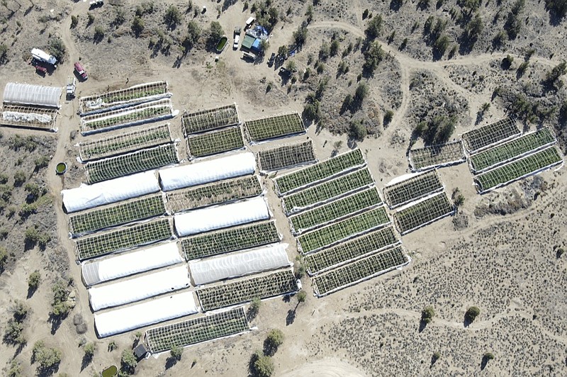 A marijuana grow is seen on Sept. 2, 2021, in an aerial photo taken by the Deschutes County Sheriff's Office the day officers raided the site in the community of Alfalfa, Ore. On the 30-acre property in the high desert they found 49 greenhouses containing almost 10,000 marijuana plants and a complex watering system with several 15,000-20,000 gallon cisterns. (Deschutes County Sheriff Via AP)


