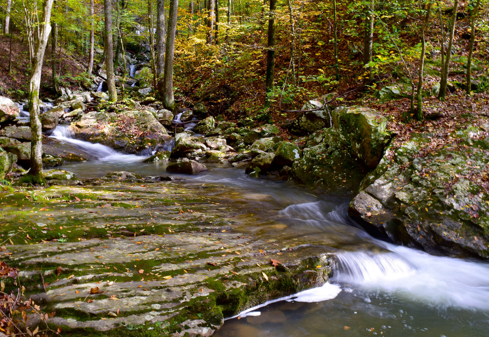 Staff Photo by Robin Rudd / In this photo made on October 26, 2020 in Laurel-Snow State Natural Area's main trail crosses a mountain stream, surrounded by muted Fall Foliage. According to a Associated Press story, ҠFor a cheery autumnal activity, leaf peeping is facing some serious threats from the era of climate change.
