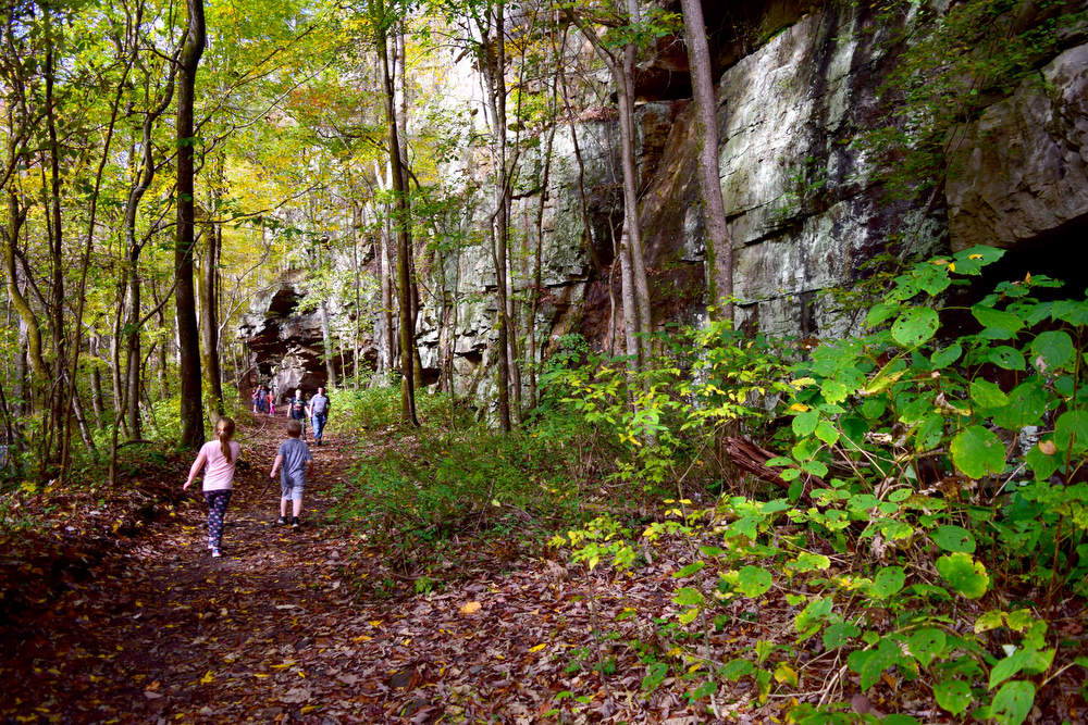 Staff Photo by Robin Rudd / In this photo made on October 26, 2020 in Laurel-Snow State Natural Area's main trail gains elevation, surrounded by muted fall foliage.