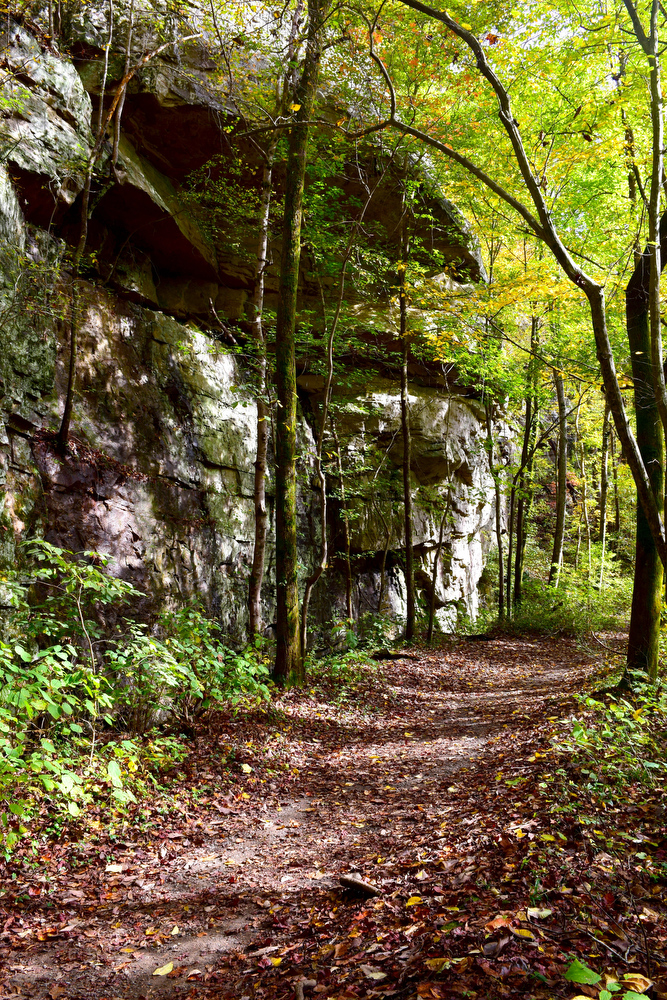 Staff Photo by Robin Rudd / In this photo made on October 26, 2020 in Laurel-Snow State Natural Area the main trail passes rock outcroppings, surrounded by muted fall foliage.