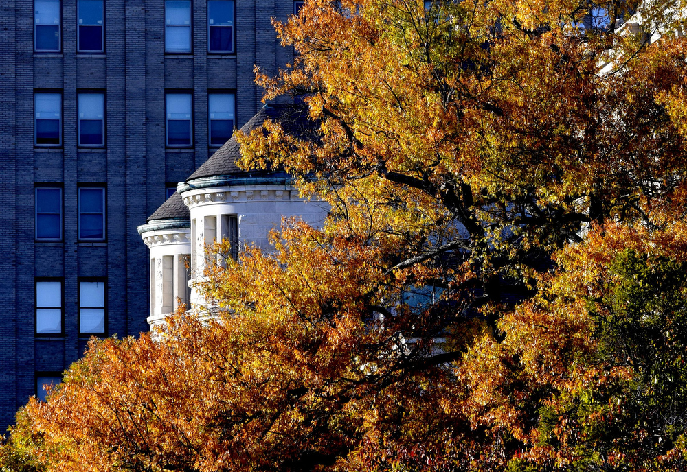 Staff Photo by Robin Rudd/ The twin turrets of the U.S. Customs House appear to peak out from behind a colorful fall tree on the Chattanooga City Hall's lawn on November 13, 2019.