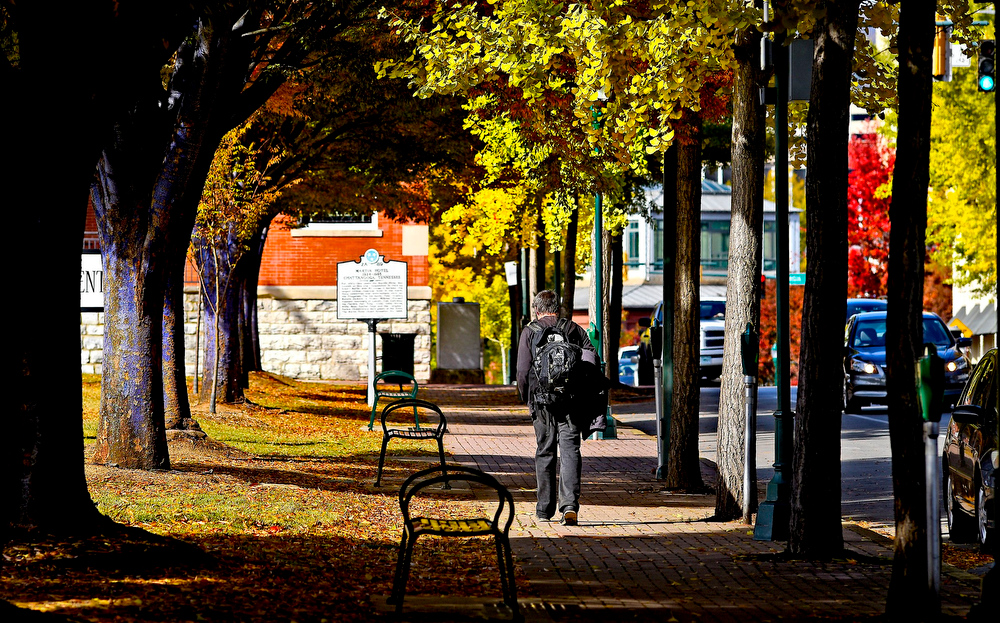 Staff Photo by Robin Rudd/ A man walks through a tunnel of trees along Martin Luther King Jr. Blvd. in front of the Bessie Smith Cultural Center on November 8, 2019.
