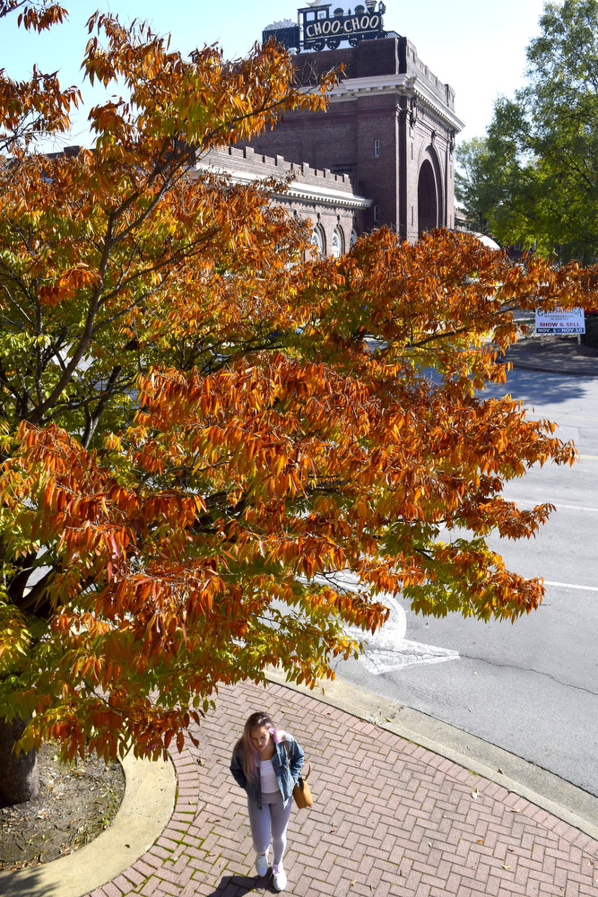 Staff Photo by Robin Rudd/ The historic Choo-Choo is seen wrapped in fall color on November 5, 2019.