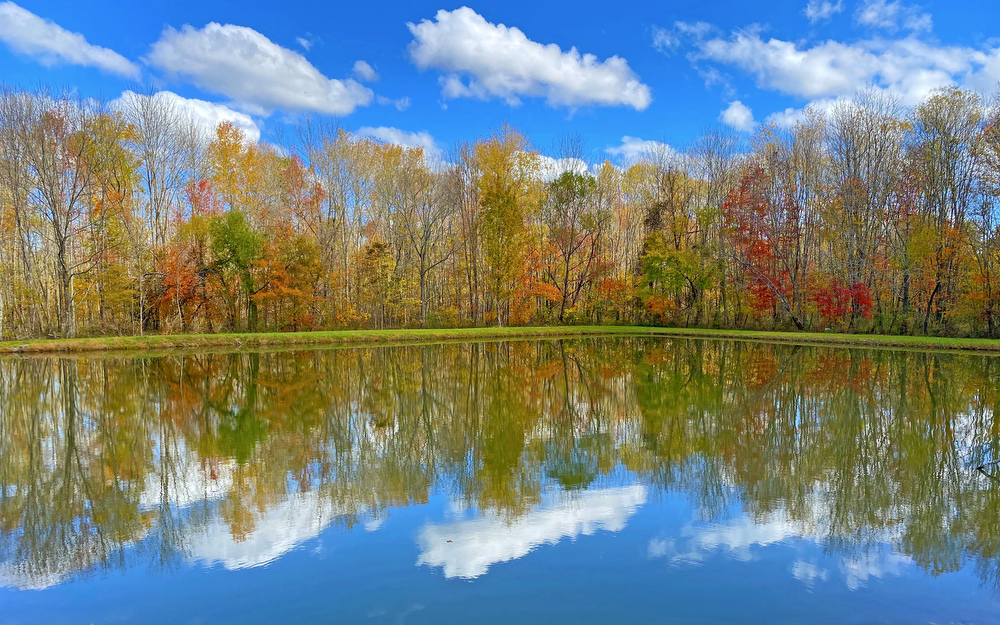 Staff Photo by Robin Rudd / Clouds and Fall color are reflected in May's Pond in East Brainerd on November 17, 2020. While Fall color is still evident the trees have lost a great number of leaves. According to a Associated Press story, ҠFor a cheery autumnal activity, leaf peeping is facing some serious threats from the era of climate change.