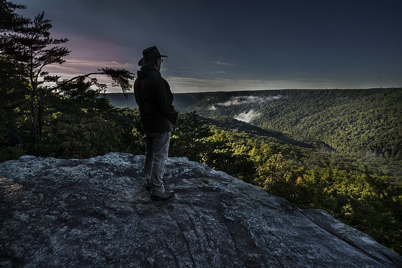 Mike O'Neal, a longtime hunter, surveys an expanse of the Bridgestone Firestone Centennial Wilderness Area, where clearcutting is planned to create quail habitat. / Tennessee Lookout photo by John Partipilo