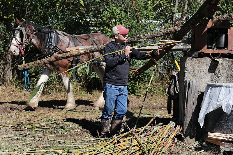 Staff file photo / Tanner Colvin feeds sugar cane into a horse-powered press at the 2018 Ketner's Mill Country Arts & Crafts Fair in Whitwell, Tenn. This year's festival is Saturday and Sunday.
