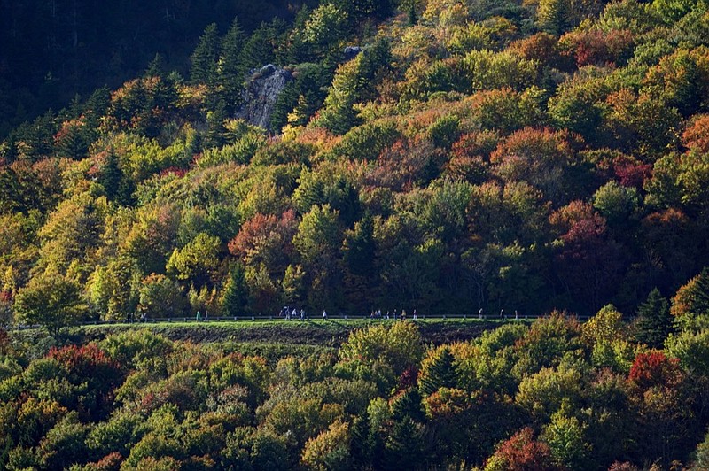 Trees begin to show their autumn colors as tourists walk along the Blue Ridge Parkway near Linville, N.C., Monday, Oct. 18, 2021. (AP Photo/Gerry Broome)

