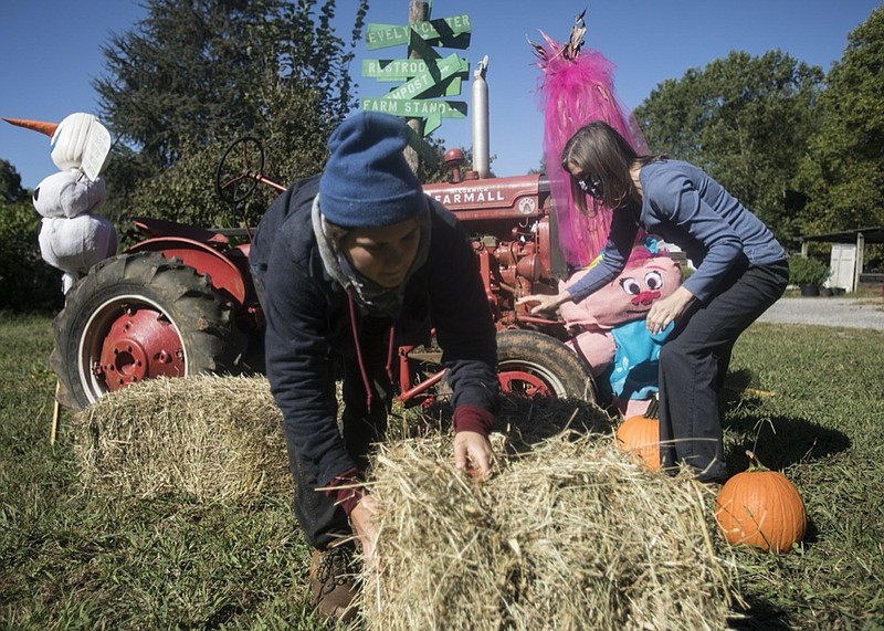 Staff photo by Troy Stolt / Kelly Myracle and Melissa Astin set up a display for "Scarecrows at the Farm" a brand new event that will feature scarecrows submitted by Hamilton County residents, at Crabtree Farms on Wednesday, Sept. 30, 2020 in Chattanooga, Tenn. 