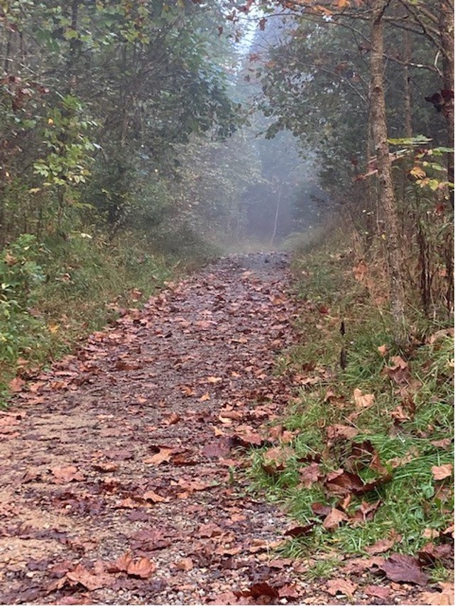 Contributed Photo by Patti Smith / The original Wilderness Road as it descends from Cumberland Gap into Kentucky. Historians estimate that more than 300,000 American pioneers traveled this road, laid out by Daniel Boone, on their way to a new life in Kentucky and beyond in the late 1700s and early 1800s.