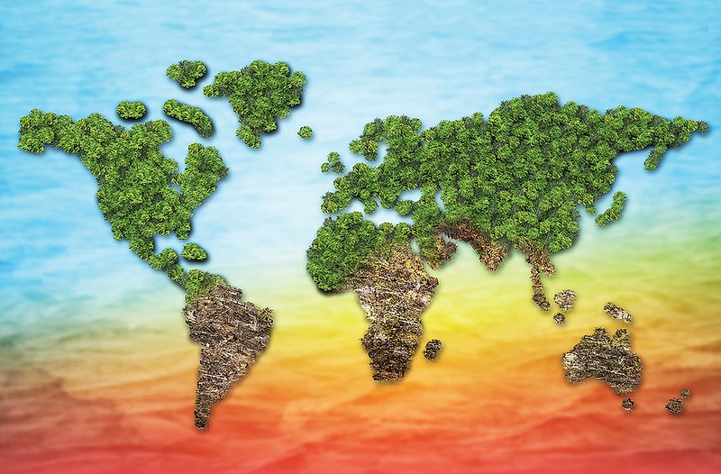 Deforestation and global warming concept. / Getty Images/iStock/dohtar