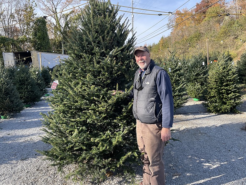 Photo by Dave Flessner / John Weaver displays one of the hundreds of Frazier fur trees grown at his North Carolina farm he is selling at his Chattanoga lot of Signal Mountain Road. The Weaver family farm has raised Christmas trees for more than a half century.