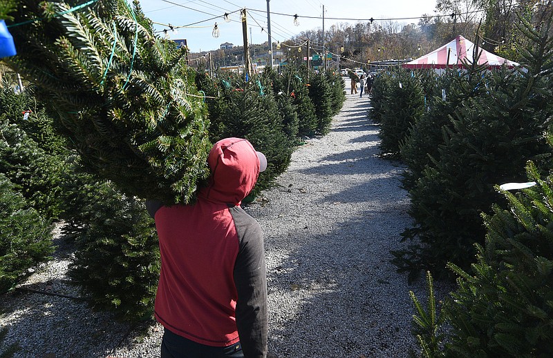 Staff Photo by Matt Hamilton / Arnulto Mendoza carries a tree to replace a tree after it was purchased on Wednesday, November 24, 2021 at the Weaver Tree Farms location on Signal Mountain Road. 