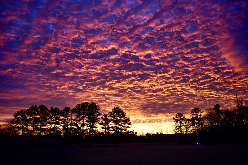 Photo of the Day  Chattanooga Times Free Press