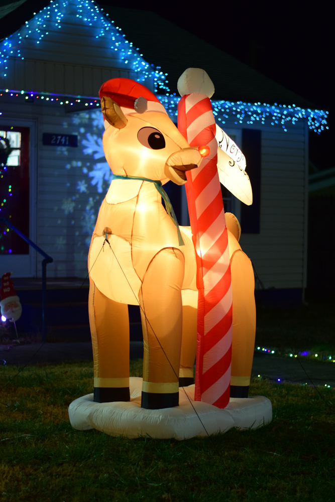 Staff Photo by Robin Rudd / A Rudolph the Red-Nosed Reindeer inflatable lights up a lawn Tuesday. Pushed through by the vision of resident and business owner Lola Sells and the help of many others, downtown Pikeville, Tennessee, has been transformed this year with the goal of having Christmas decorations (preferably lights) on every home and business on the main street through downtown. Sells says her goal is to make it look like a Hallmark town that people would want to come visit and spend money in.